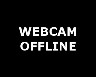 web cam live